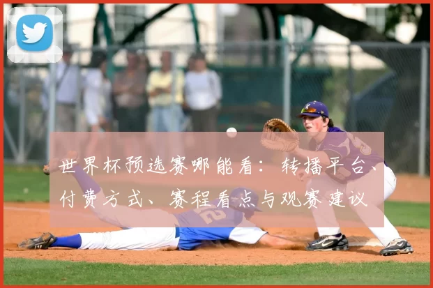 世界杯预选赛哪能看：转播平台、付费方式、赛程看点与观赛建议