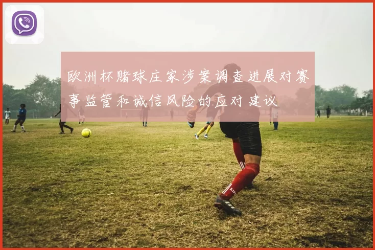 欧洲杯赌球庄家涉案调查进展对赛事监管和诚信风险的应对建议